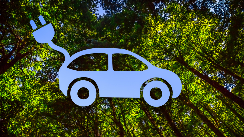 carspector gebrauchtwagen auto kaufen tipps hilfe begleitung mobilität nachhaltigkeit nachhaltig umwelt zukunft grün