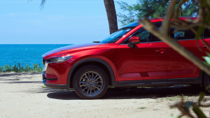 Gebrauchtwagen aus warmen Regionen: Haben Autos aus heißen Ländern andere Probleme?