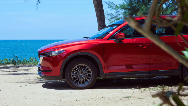 Gebrauchtwagen aus warmen Regionen: Haben Autos aus heißen Ländern andere Probleme?